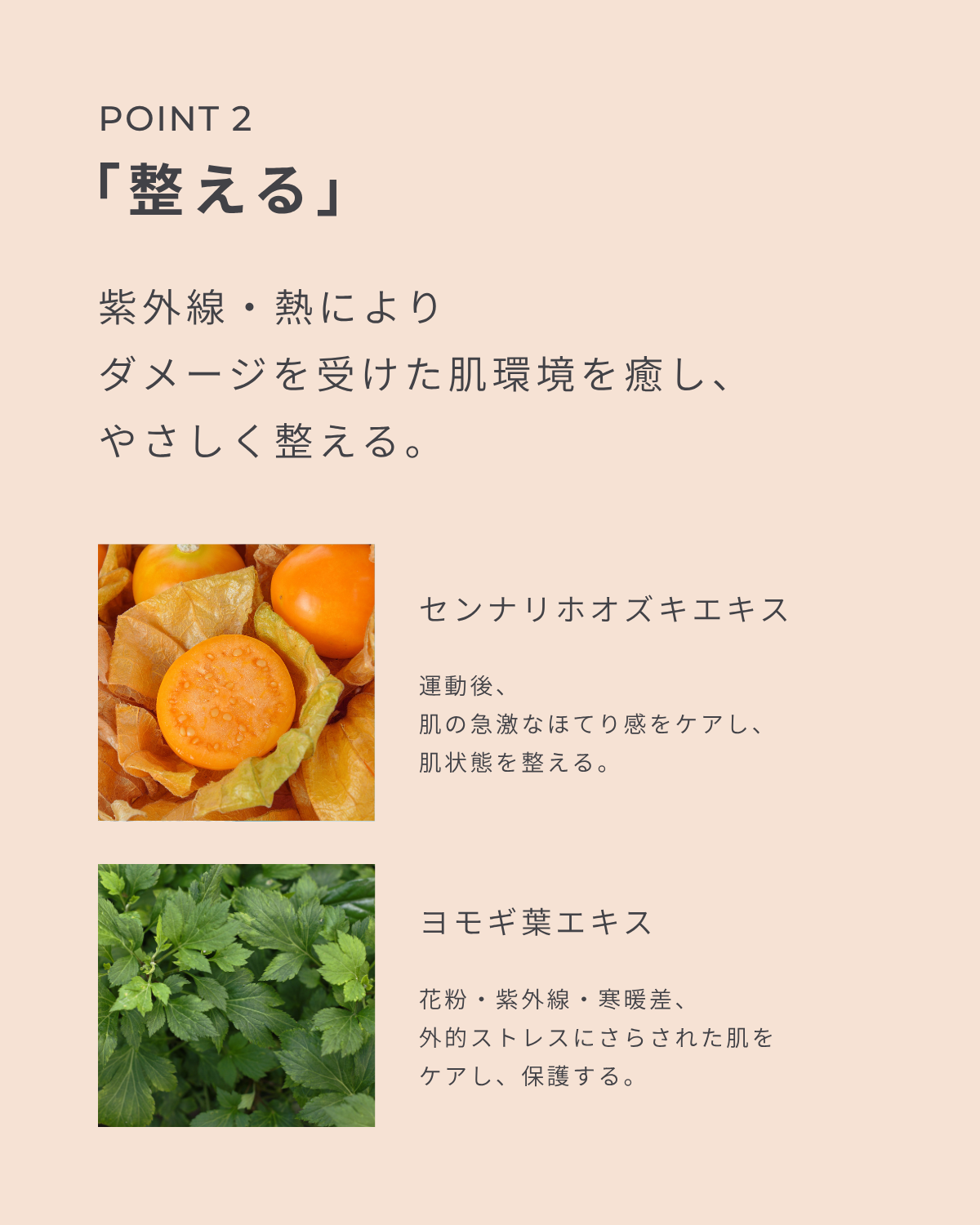 POINT2 「整える」紫外線・熱によりダメージを受けた肌環境を癒し、やさしく整える センナリホオズキ 運動後、肌の急激なほてり感をケアし、肌状態を整える。 ヨモギ葉エキス 花粉・紫外線・寒暖差、外的ストレスにさらされた肌をケアし、保護する。