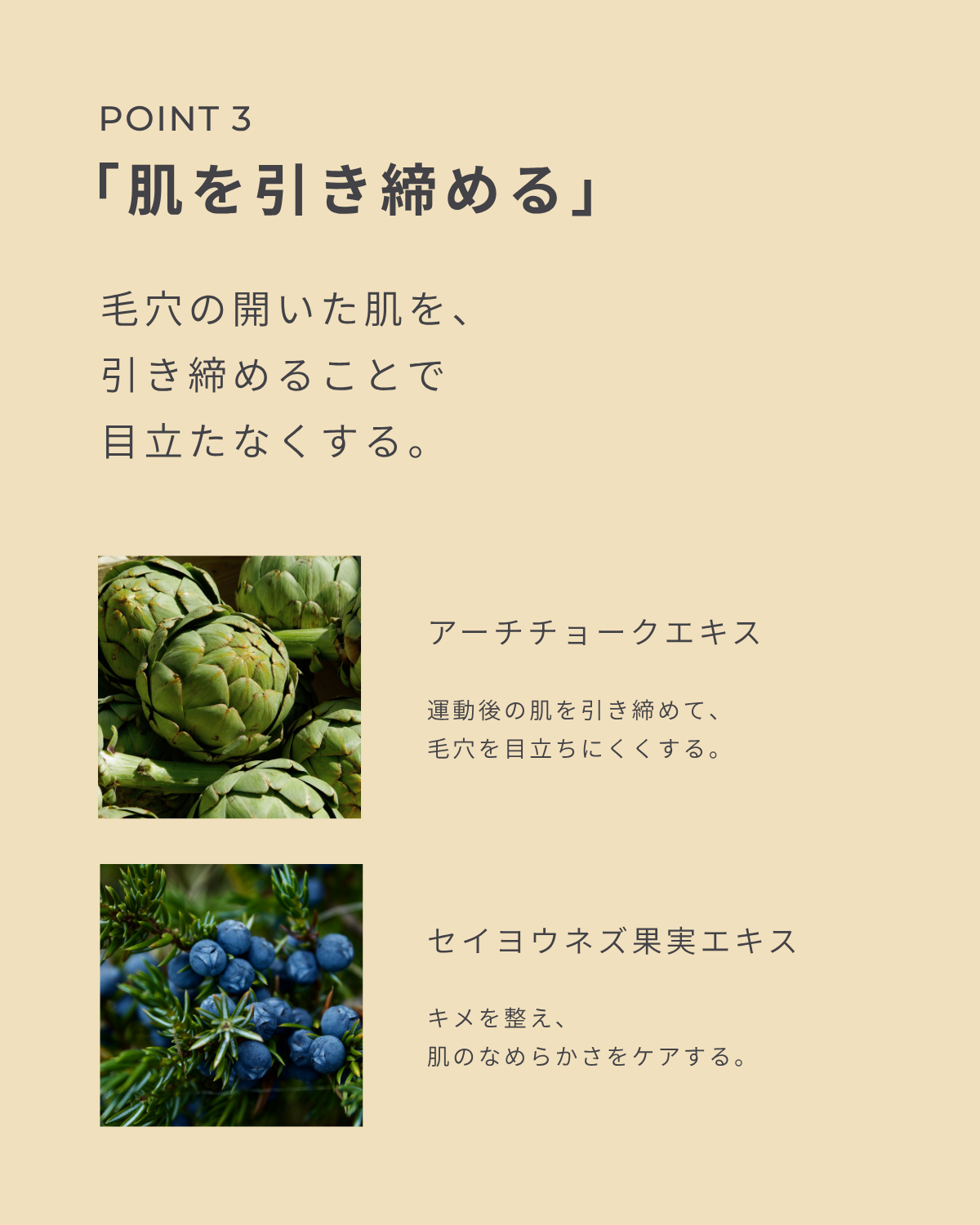 POINT3 「肌を引き締める」毛穴の開いた肌を、引き締めることで目立たなくする アーチチョーク 運動後の肌を引き締めて、毛穴を目立ちにくくする。 セイヨウネズ果実エキス キメを整え、肌のなめらかさをケアする。